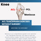 ACL Tear At-Home Exercises (Without Surgery) Worksheet PDF mockup 3