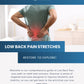 Low Back Pain Stretches Worksheet PDF Mockup